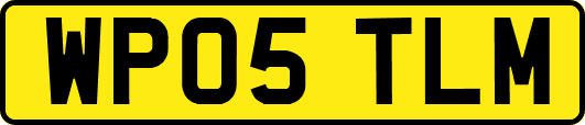 WP05TLM