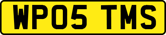 WP05TMS