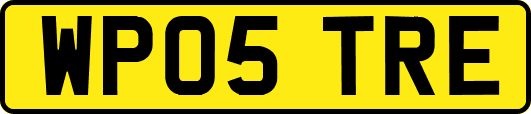 WP05TRE