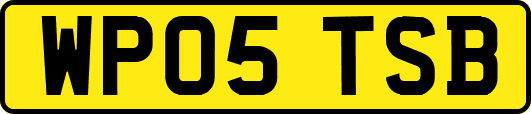 WP05TSB