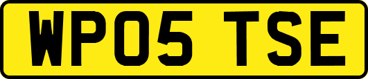 WP05TSE