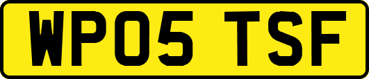 WP05TSF
