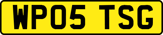 WP05TSG