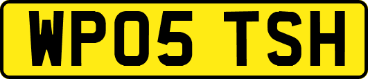 WP05TSH