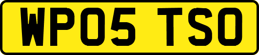 WP05TSO
