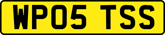 WP05TSS