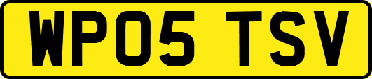 WP05TSV