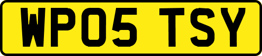 WP05TSY