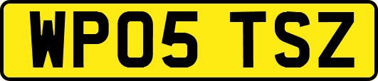 WP05TSZ