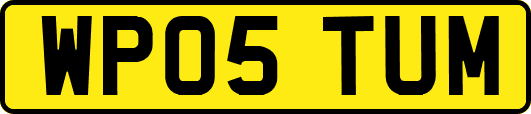 WP05TUM