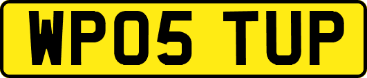 WP05TUP