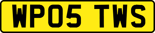 WP05TWS