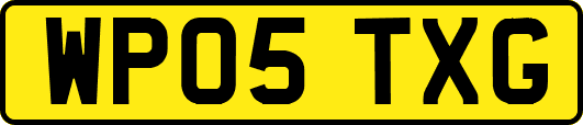 WP05TXG