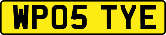 WP05TYE