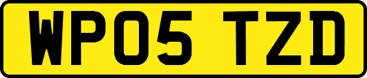 WP05TZD