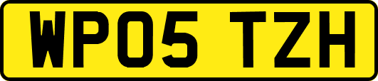 WP05TZH