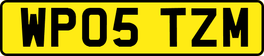 WP05TZM