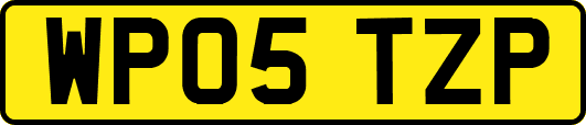 WP05TZP