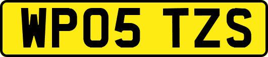 WP05TZS