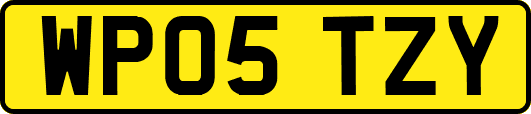 WP05TZY