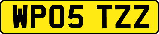 WP05TZZ