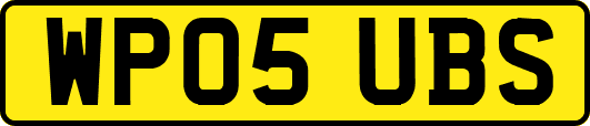WP05UBS