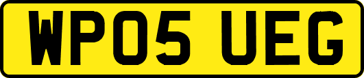 WP05UEG