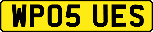 WP05UES