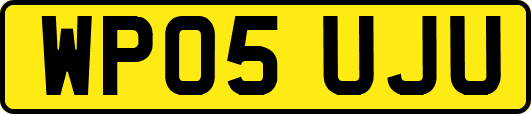 WP05UJU
