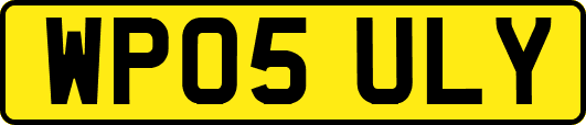 WP05ULY