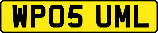 WP05UML
