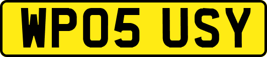 WP05USY