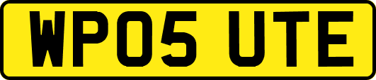 WP05UTE