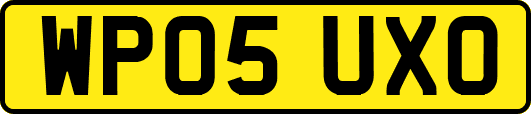WP05UXO