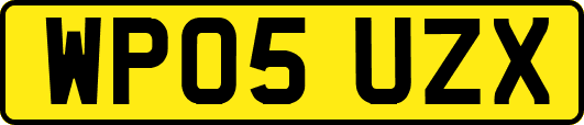 WP05UZX