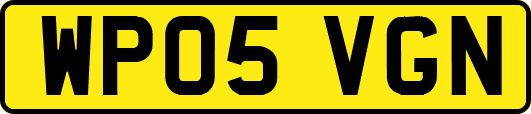WP05VGN