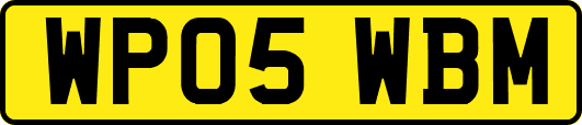 WP05WBM