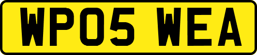 WP05WEA