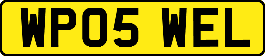 WP05WEL