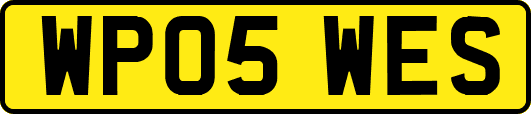 WP05WES