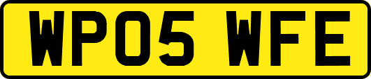 WP05WFE