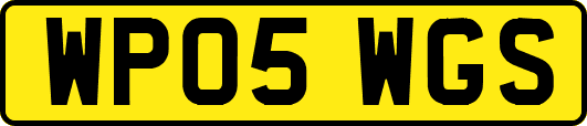 WP05WGS