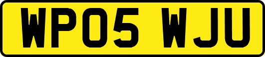 WP05WJU