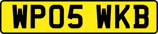 WP05WKB