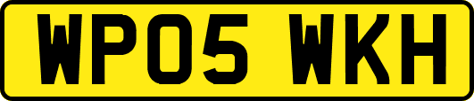 WP05WKH