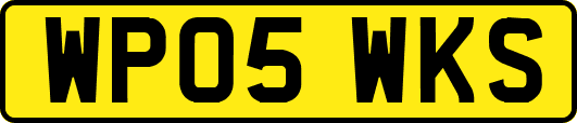 WP05WKS