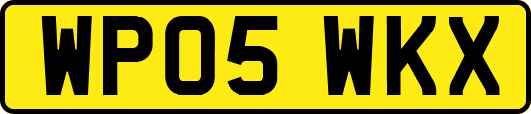 WP05WKX