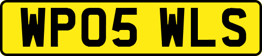 WP05WLS