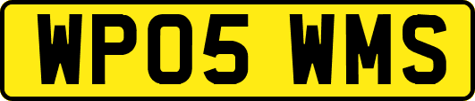 WP05WMS