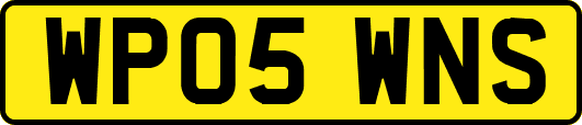 WP05WNS